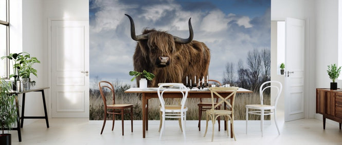 PHOTOWALL / Bull in the Meadow (e310537)