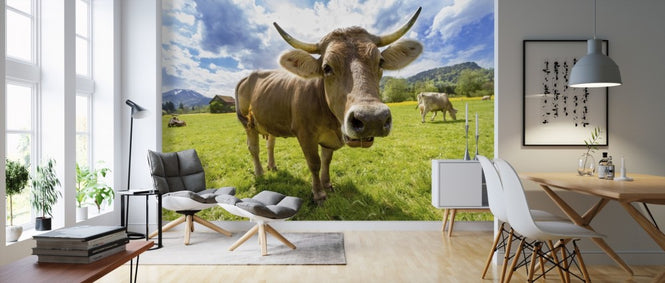 PHOTOWALL / Cow Up Close (e310541)