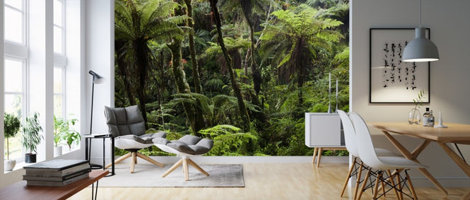 PHOTOWALL / Cloud Forest (e310362)