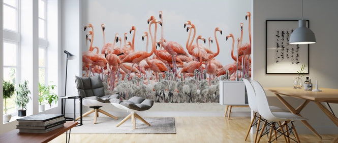 PHOTOWALL / Caribbean Flamingo (e310408)