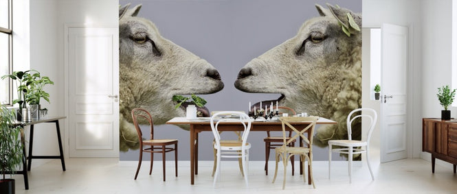 PHOTOWALL / Sheep Bleat (e310672)