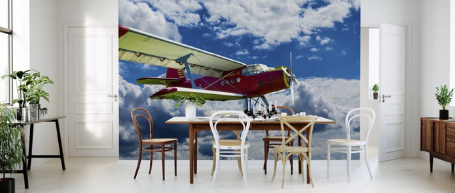 PHOTOWALL / Vintage Antonov (e310631)