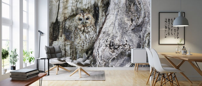 PHOTOWALL / Camouflage Owl (e310645)