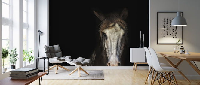 PHOTOWALL / Horse in the Dark (e310687)