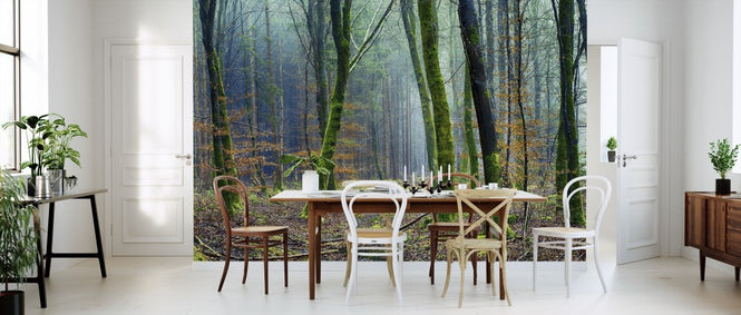 PHOTOWALL / The Forest (e310690)