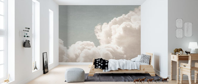 PHOTOWALL / Blush Clouds Daydream Filter (e310880)