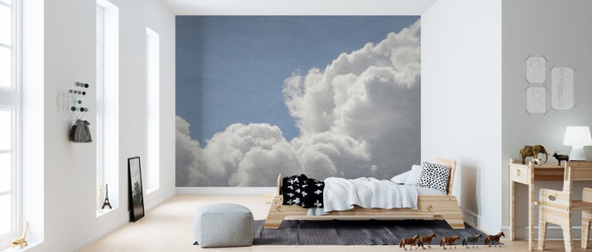 PHOTOWALL / Blush Clouds Filter (e310883)