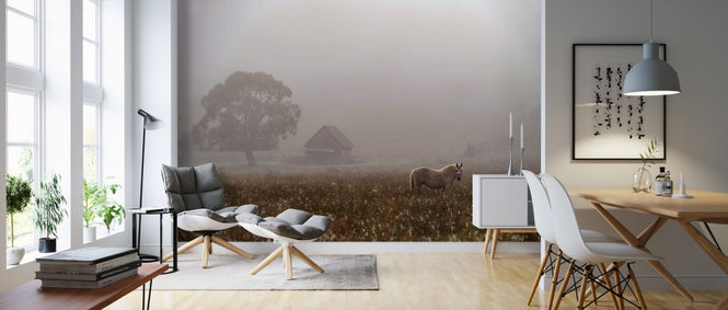 PHOTOWALL / Morning Fog (e311011)
