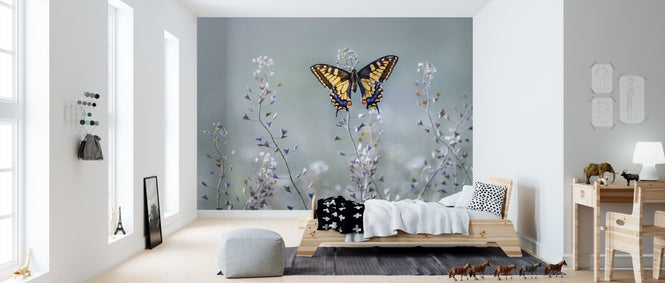 PHOTOWALL / Swallowtail Beauty (e311039)