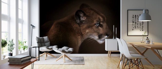 PHOTOWALL / Puma (e311041)