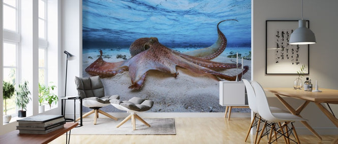 PHOTOWALL / Octopus (e311049)