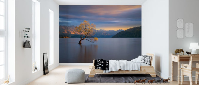PHOTOWALL / Morning Glow (e311051)