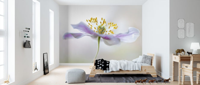 PHOTOWALL / Wood Anemone (e311088)