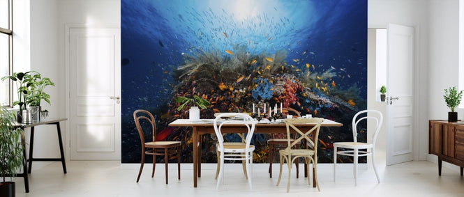 PHOTOWALL / Apnea (e311105)
