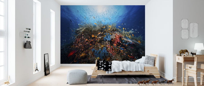 PHOTOWALL / Apnea (e311105)