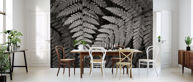 PHOTOWALL / Lady Fern II (e311260)