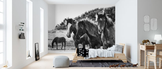 PHOTOWALL / Horses Three (e311276)