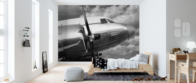 PHOTOWALL / Airborne 3 (e311305)