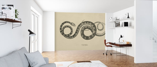 PHOTOWALL / Vintage Viper (e312300)