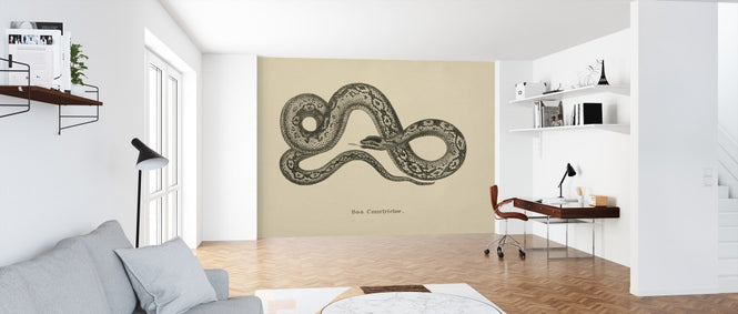PHOTOWALL / Vintage Boa Constrictor (e312305)