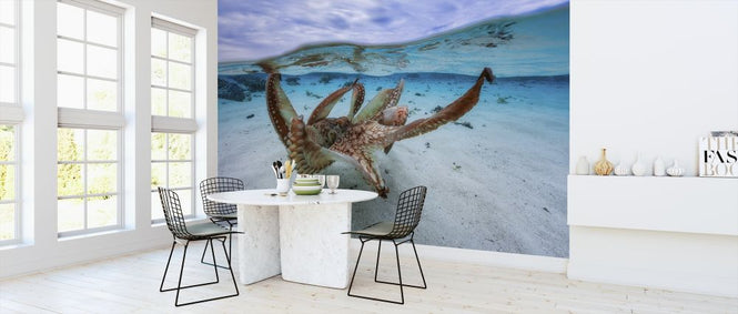 PHOTOWALL / Octopus (e312827)