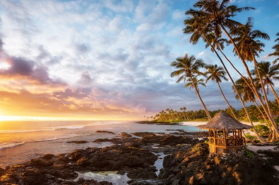 PHOTOWALL / Return to Paradise (e312862)