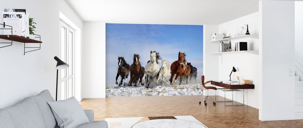 Zoom