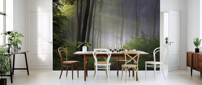 PHOTOWALL / Forest Morning (e312977)