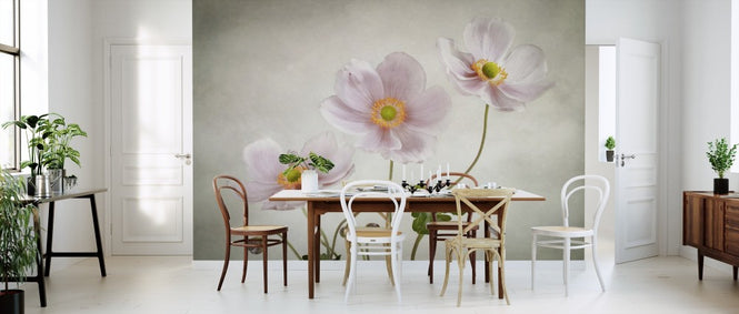 PHOTOWALL / Anemones (e312991)