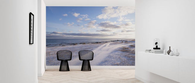 PHOTOWALL / Winter Beach at Gotland (e313194)