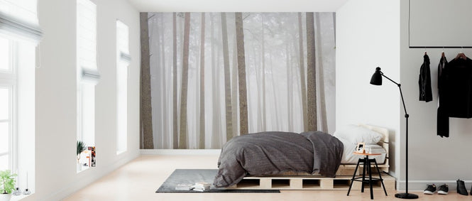 PHOTOWALL / Misty Trees (e313204)
