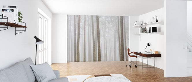 PHOTOWALL / Misty Trees (e313204)