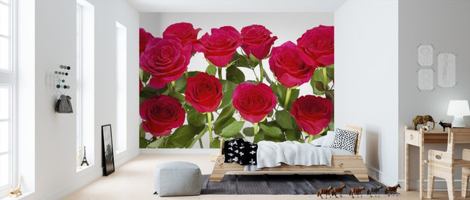 PHOTOWALL / Red Roses (e313228)