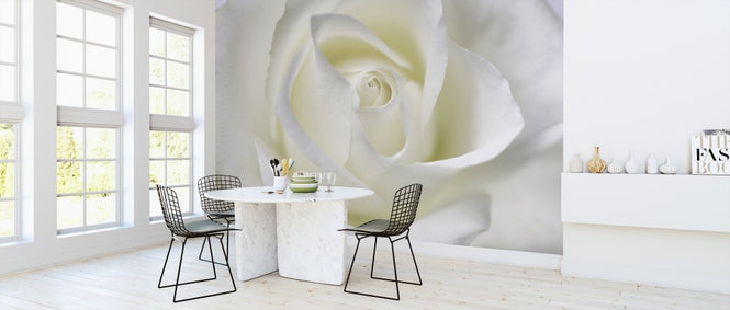 PHOTOWALL / Whtie Rose (e313230)
