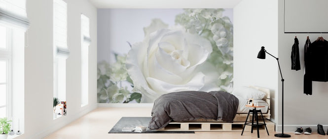 PHOTOWALL / White Rose II (e313231)