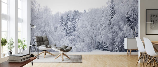 PHOTOWALL / Forest Snow (e313244)