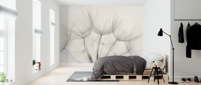 PHOTOWALL / Delicate (e313089)