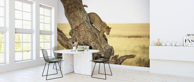 PHOTOWALL / Leopard - Serengheti - Tanzania (e313117)