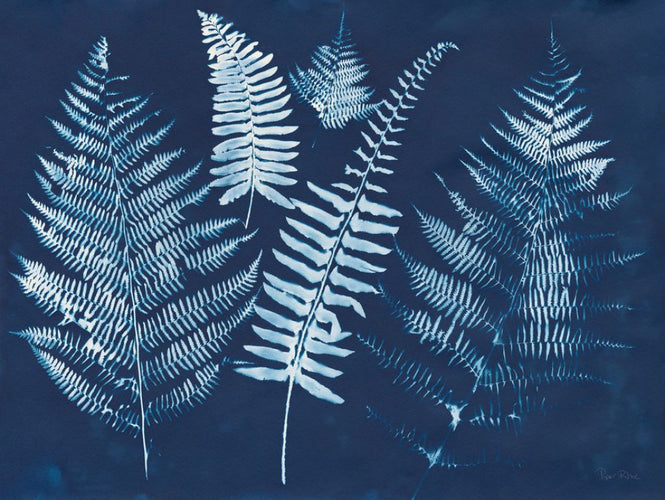 PHOTOWALL / Nature by the Lake - Ferns I (e313325)