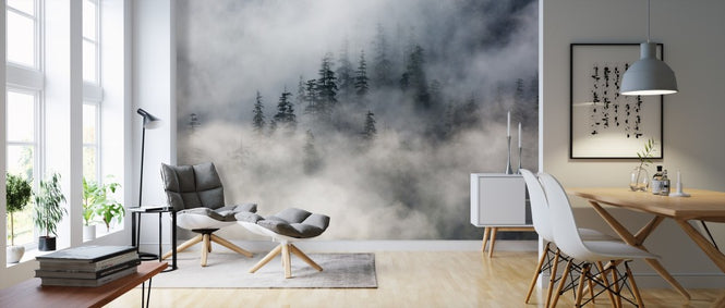 PHOTOWALL / Forest Fog (e313550)