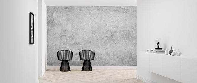 PHOTOWALL / Scrubbed Concrete Wall (e313699)
