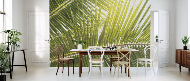 PHOTOWALL / Sunlight trough Palm Leaf (e313889)