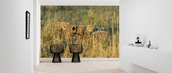 PHOTOWALL / Female Cheetah and Cubs (e314504)