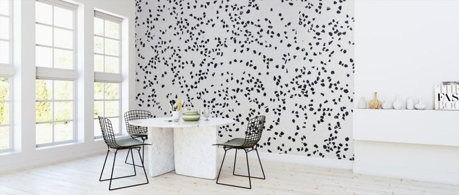 PHOTOWALL / Black Sprinkled Terrazzo (e314459)