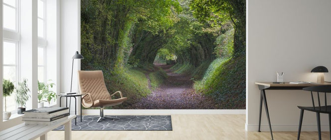 PHOTOWALL / Tunnel of Trees (e314532)