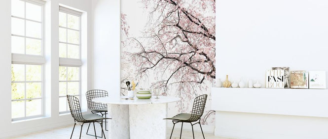 PHOTOWALL / Cherry Blossoms (e314331)