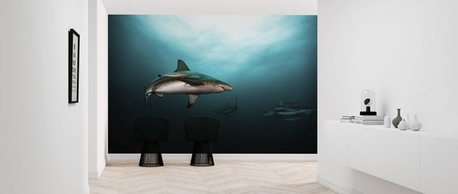 PHOTOWALL / Great White Shark (e315323)