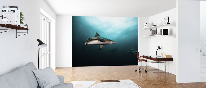 PHOTOWALL / Great White Shark (e315323)