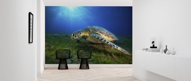 PHOTOWALL / Green Turtle (e315344)