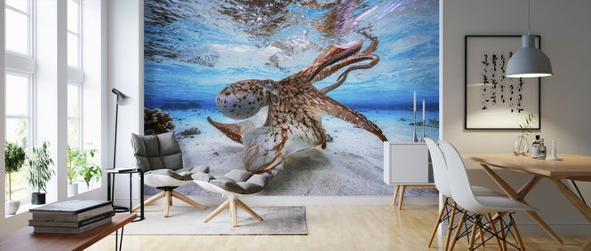 PHOTOWALL / Dancing Octopus (e315350)